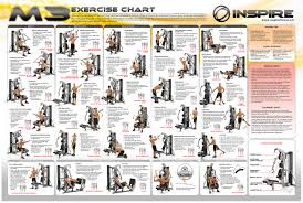 57 prototypical routine exercise chart for gym