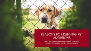 Be sure to send acknowledgments for donations. Reasons For Denying Pet Adoptions The Open Adoption Movement