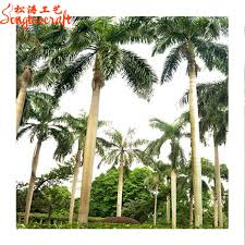 We did not find results for: All Kinds Of Evergreen Tropical Fruit Trees Artificial Giant Outdoor Coconut Palm Tree Dubai Plants For Sale Buy Evergreen Fruit Trees Tropical Fruit Trees Fruit Trees For Sale Product On Alibaba Com
