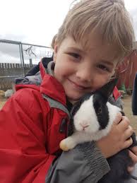 Visiting The Reindeer Farm in Palmer, Alaska