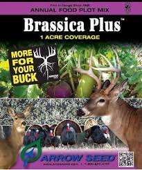 Brassica Plus Food Plot Arrow Seed Company Brassica Food Plot Seed Company