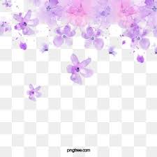 Beautiful Lavender Lavender Purple Flower Png Transparent Clipart Image And Psd File For Free Download Watercolor Flower Vector Free Watercolor Flowers Watercolor Flowers