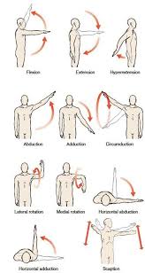 Image result for Shoulder Range of Motion Exercises