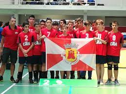Pavilhão desportivo municipal de tondela. A Equipa De Iniciados De Voleibol Da Escola Carolina Beatriz Angelo Da Guarda Sagrou Se Vice Campea Nacional Radio F
