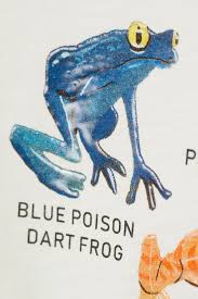 Sticky Gel Print Blue Poison Dart Frog Poison Dart Frogs Dart Frog
