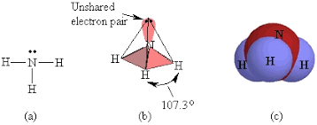 Ch103 - Chapter 8: The Major Macromolecules - Chemistry