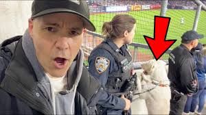 Even this DOG was excited to see Aaron Judge go for his 62nd home run at  Yankee Stadium