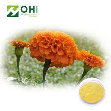 Seed sales bring up visions of unwanted or old, leftover seeds. Fresh Cut Marigold Flowers Calendula Lutein Powder Extract Natural Lutein Zeaxanthin Buy Fresh Cut Marigold Flowers Calendula Lutein Powder Extract Natural Lutein Zeaxanthin Product On Alibaba Com