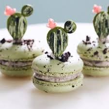 Les Plantes Succulentes S Invitent En Patisserie Macaron Patisserie Desserts Colores