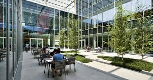 Come un campus anglosassone: a Pieve Emanuele (Milano) l ...