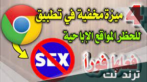 كيفية حجب المواقع الإباحية من جوجل نهائيا – ترند نت