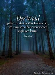 Kampf Gegen Gewalt Gewaltpravention Im Aachener Wald Geburtstagswunsche Zitate Lebensweisheiten Spruche Spruche Zitate