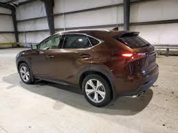 Image result for Autumn Shimmer 2017 NX