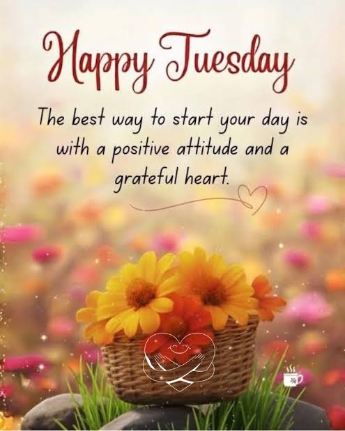 Wishing everyone a happy Tuesday morning