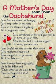 Mother S Day Dachshund Poem From Belks Healey Bailey Roller Emma Flash Candy Hank And Oscar Pmp 9doxies Mothers Day Poems Dachshund Dog Dachshund