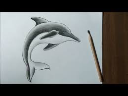Kids Drawing How To Draw A Dolphin Youtube Dolphin Drawing Drawing For Kids Drawings