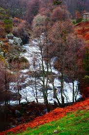 Lichen green on red rock texture nature. Hd Wallpaper Nature Throat Natural Landscape Mountains Stone Field Wallpaper Flare