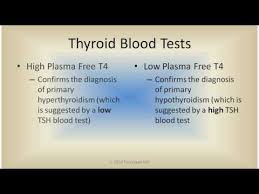 Check spelling or type a new query. Thyroid Blood Tests Youtube
