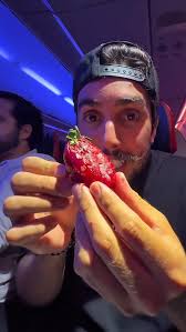 Provando morango do amor no avião 🍓🛫