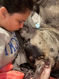 Meet breasticles..my most fav pet lol