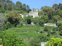 Book your tickets online for mount foia, monchique: Ein Ausflug In Die Serra De Monchique Algarve Blog