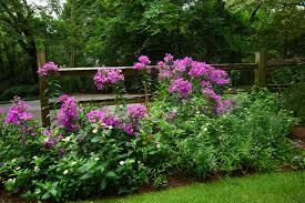 There is no better do it yourself project. Border Garden With Split Rail Fence American Traditional Garden Birmingham By Troy Rhone Garden Design Houzz