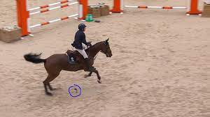 Jun 20, 2021 · efter en lång väntan är dags för os i tokyo. Henrik Von Eckermann S Broken Stirrup Controversy In Paris Jumper Nation