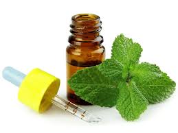 Pour the mixture into a bottle, close it and shake well. How To Use Peppermint Oil For Hair Growth Styles At Life