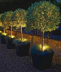 Ground Spike Light Small Enough To Be Used In A Planter Stainless Steel