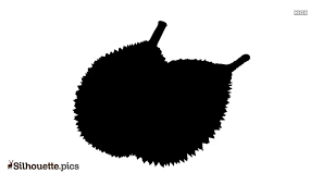 The natural alignment of the tortoise is good. Black And White Durian Fruit Silhouette Silhouette Pics