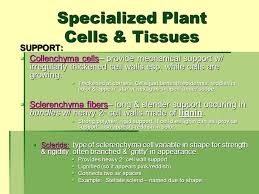 We did not find results for: Ta Info Francis Frank Iosue Ppt Download