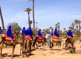 «you only live once, but if you do it right, once is enough». Desert And Palm Grove 2 Hour Camel Ride From Marrakech Including Moroccan Tea And Snack 2021 Happytovisit Com