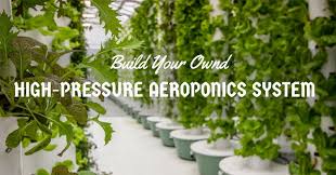 Build Your Own High Pressure Aeroponics System An Informative Guide