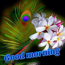 good morning photo के लिए इमेज परिणाम