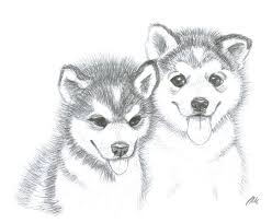 You can find a lot of tips about. Cute Husky Puppy Drawing Novocom Top