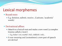 Ppt Morphology Powerpoint Presentation Free Download Id 1014423