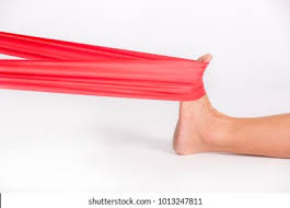 Thera Band Images Stock Photos Vectors Shutterstock