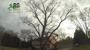 Experienced, reliable, honest & quality driven. Rg Tree Service Home Facebook