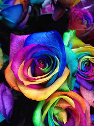 Flowers for daughter valentines day. Give Your Daughter Unicorn Roses For Valentines Day
