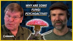 Why Do Some Fungi Cause Hallucinations?