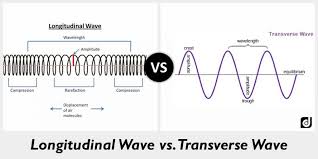 Describe the differences between transverse and longitudinal waves, examples, direction of energy transfer, examples and step by step solutions, gcse / igcse physics, notes. Properties Of Waves 8th Grade Science