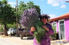 6 654 просмотра • 8 июн. Isparta Nin Lavanta Kokulu Koyu Kuyucak Koyu Nde Bir Gun Oitheblog