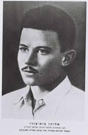 The assassination of Walter Guinness, 1st Baron Moyne.