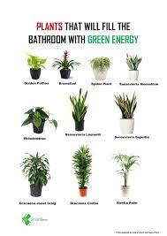 Latest videos most viewed videos longest videos random videos. Smartgrow Agro Idea Pokok Hiasan Dalam Rumah Atau Pejabat