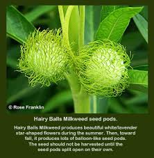 Maybe you would like to learn more about one of these? Facebook