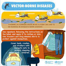 Stagnant Or Standing Water After A Storm Can Lead To An Increase In Mosquito Borne Diseases In 2020 Health And Safety Health Storm