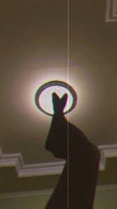  52 Ide Black Heart Dark Soul Di 2021 Gambar Wallpaper Ponsel Wallpaper Gelap