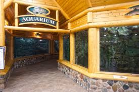 Check spelling or type a new query. Cabela S