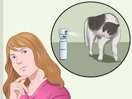 Keeping cats off counter tops? How To Keep Cats Off The Dinner Table 8 Steps With Pictures