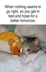 Pin On Animals Cute Baby